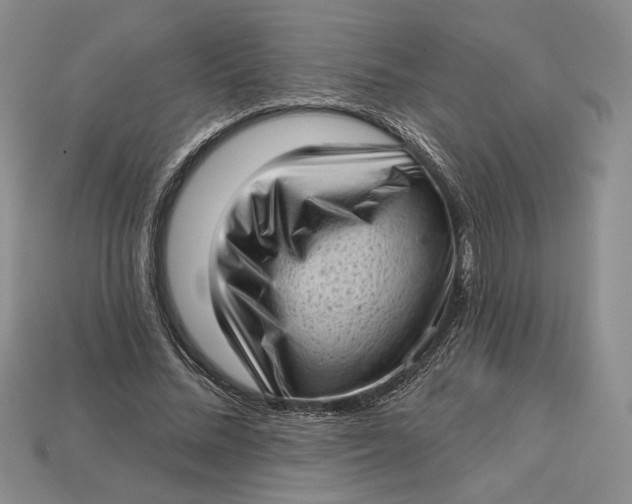 X0000112720684200909101447