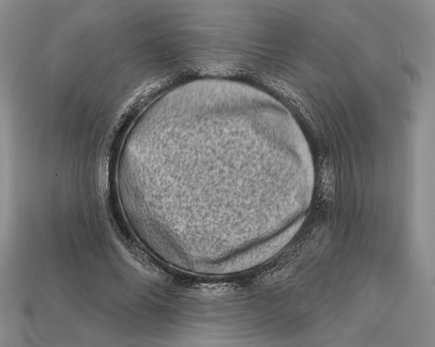 X0000112720686200909101447