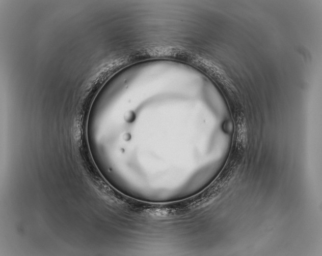 X0000112720687200909101447