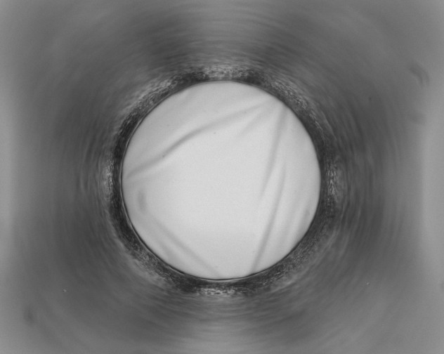 X0000112720690200909101447