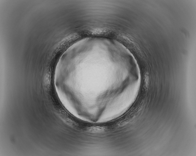 X0000112720691200909101447