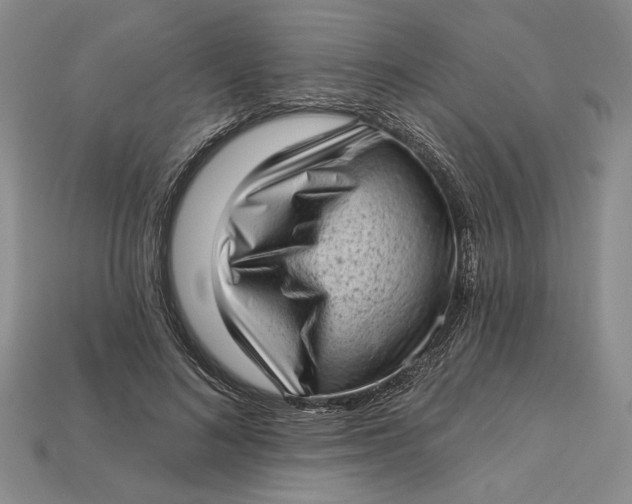 X0000112720692200909101447