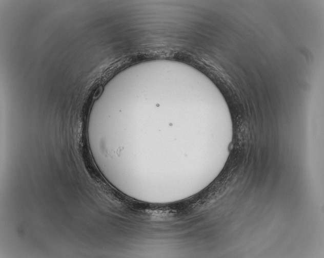 X0000112720693200909101447