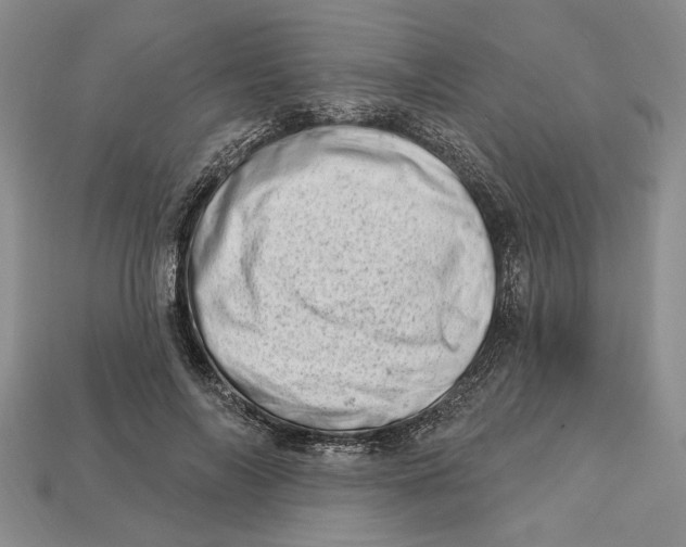 X0000112720694200909101447