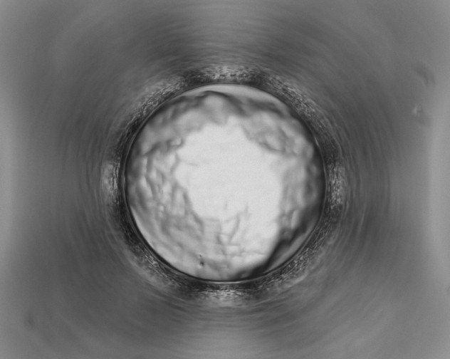 X0000112720695200909101447