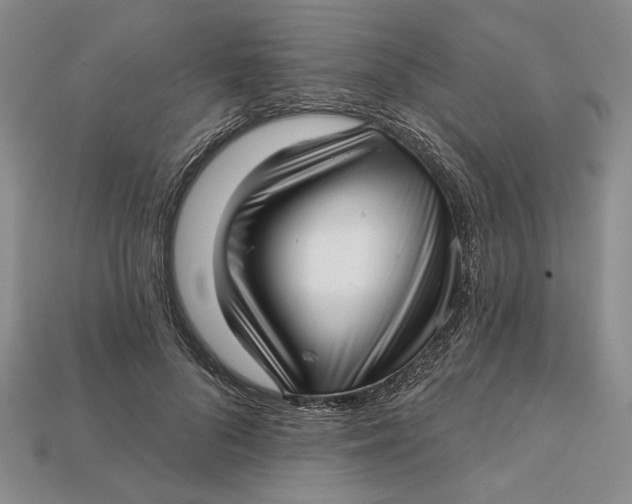 X0000112720696200909101447