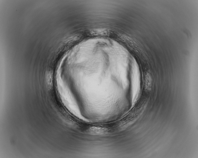 X0000112720699200909101447