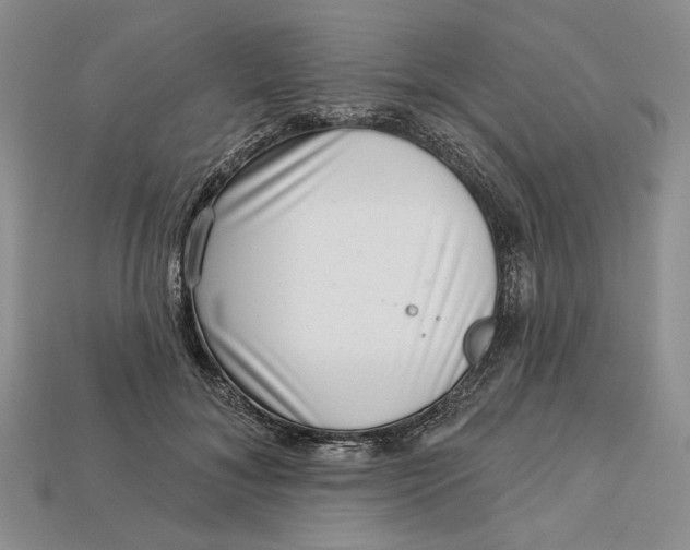 X0000112720700200909101447