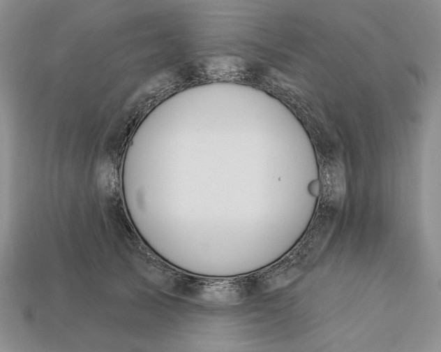 X0000112720705200909101447