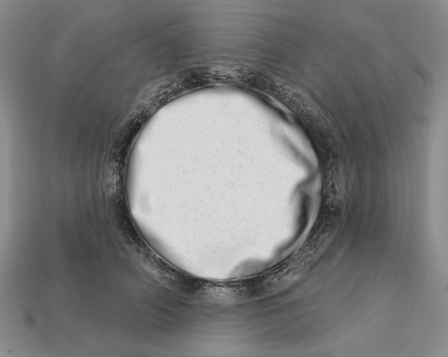 X0000112720706200909101447