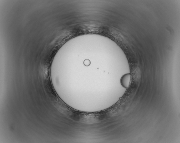 X0000112720709200909101447