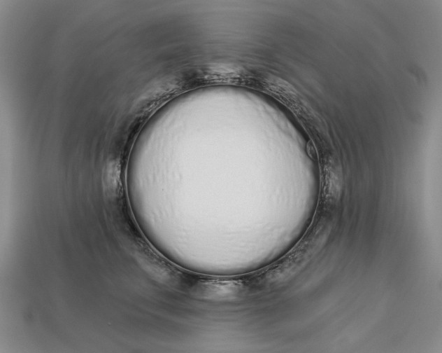 X0000112720711200909101447