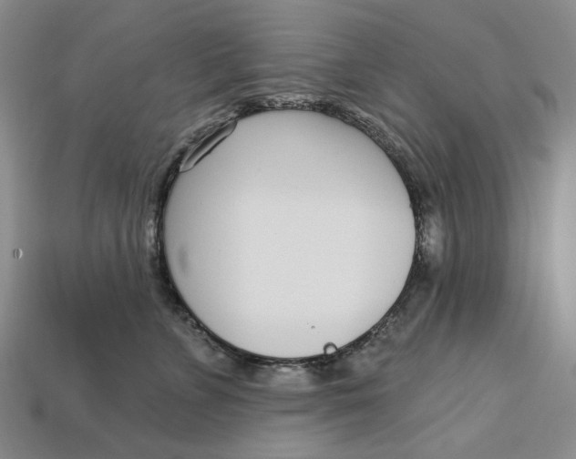 X0000112720715200909101447