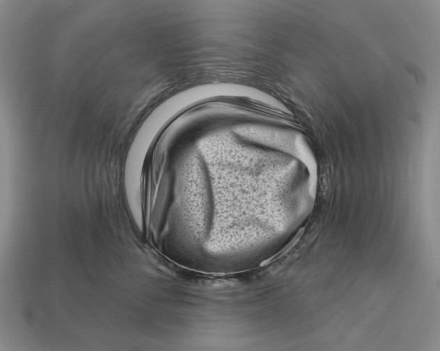 X0000112720716200909101447