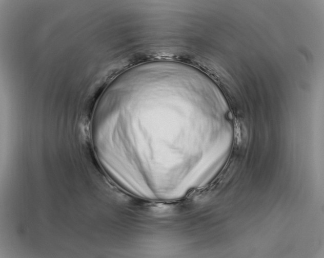 X0000112720718200909101447