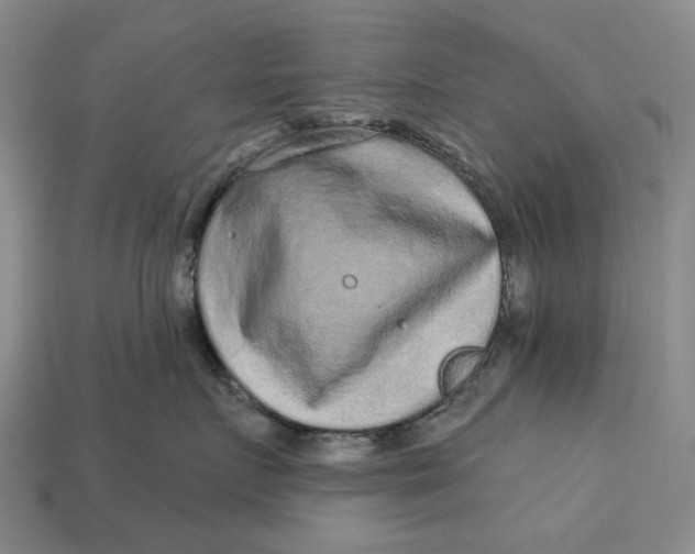 X0000112720719200909101447