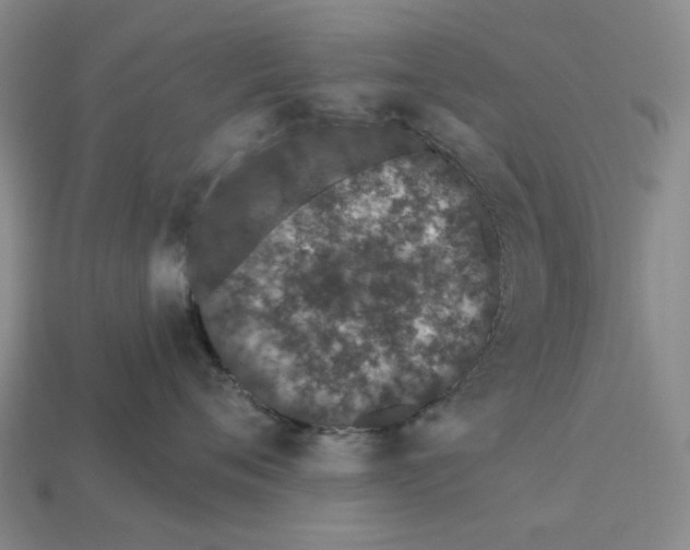 X0000112720720200909101447