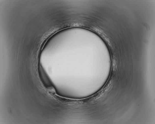 X0000112720721200909101446