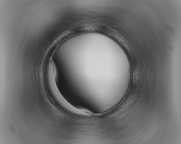 X0000112720722200909101446