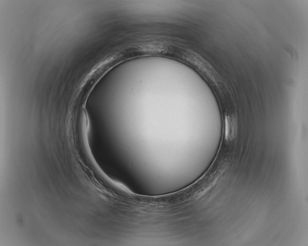 X0000112720723200909101446