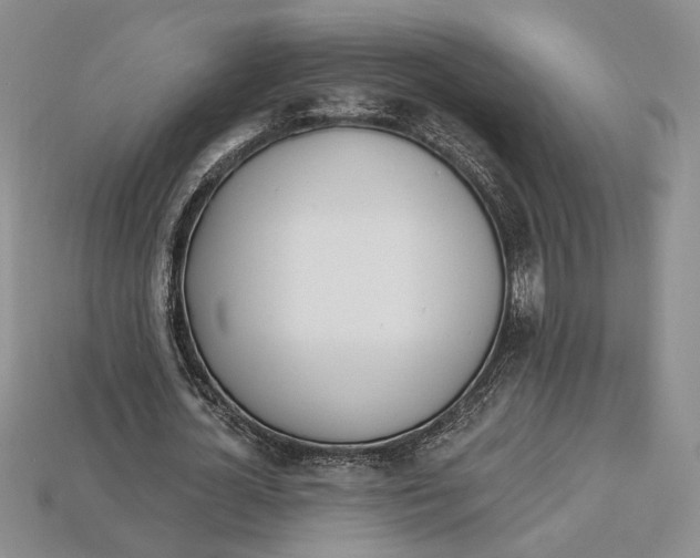 X0000112720724200909101446