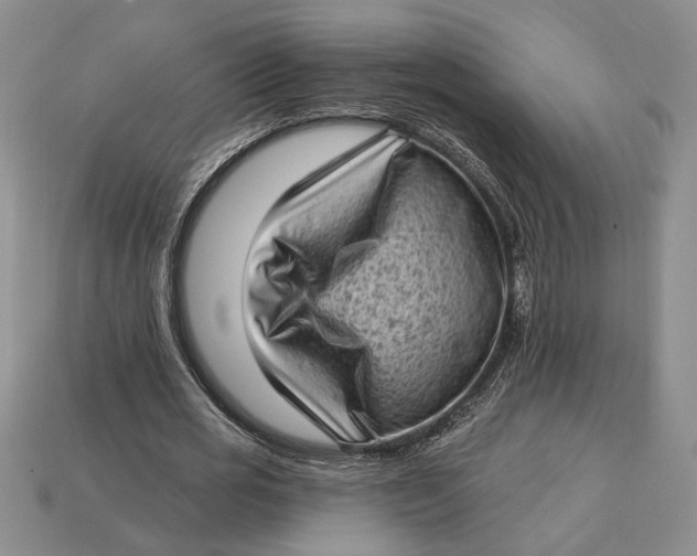 X0000112720725200909101446