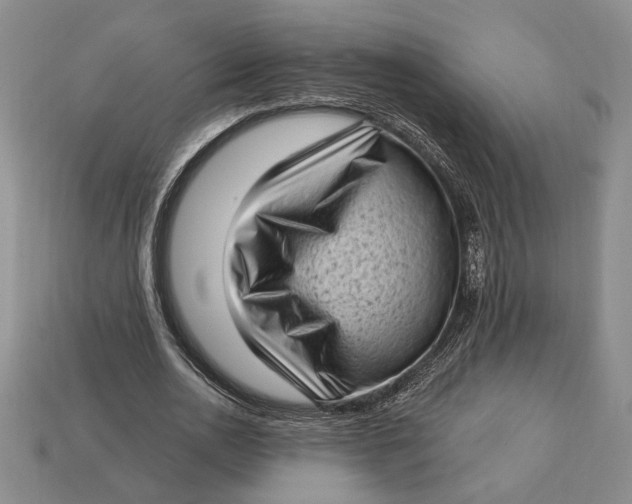 X0000112720726200909101446