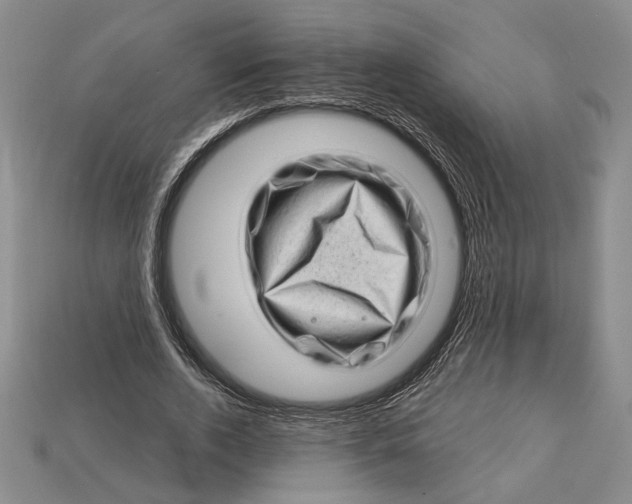 X0000112720728200909101446