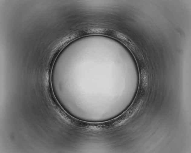 X0000112720729200909101446