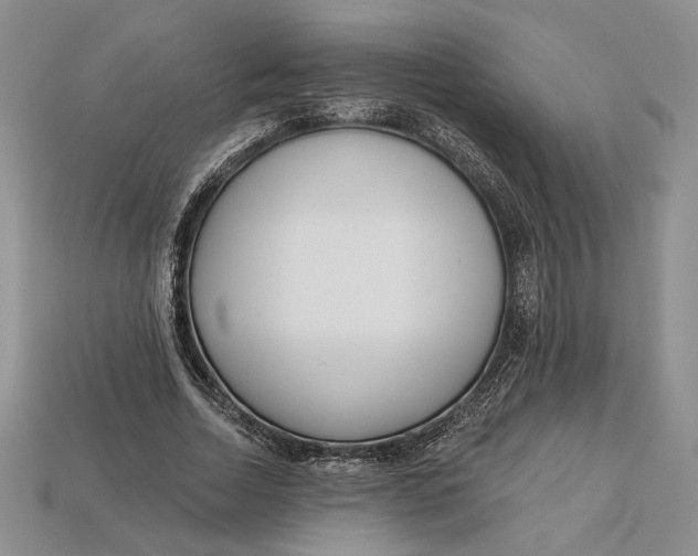 X0000112720730200909101446