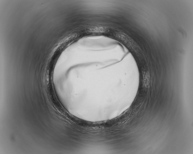 X0000112720731200909101446