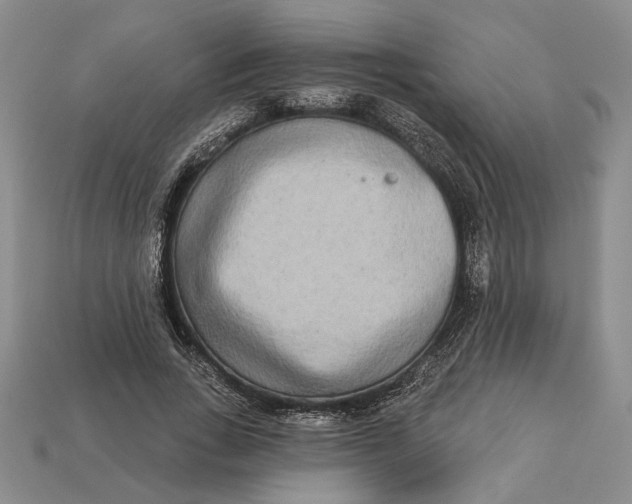 X0000112720735200909101446