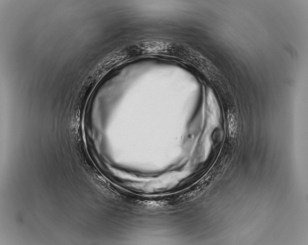 X0000112720737200909101446