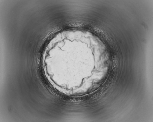 X0000112720739200909101446