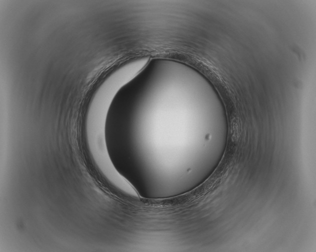 X0000112720740200909101446