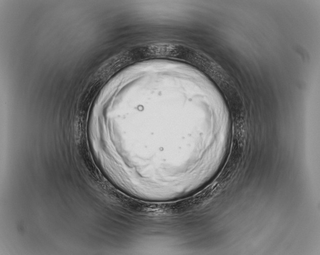 X0000112720741200909101446