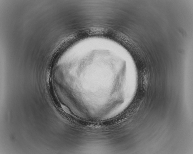 X0000112720742200909101446