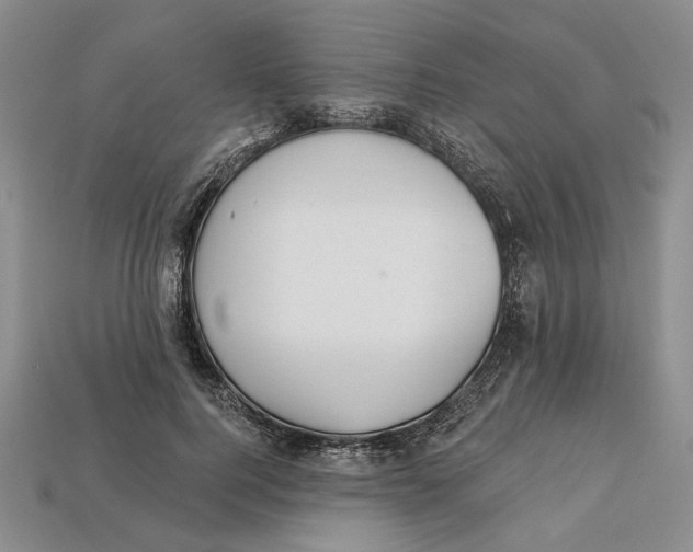 X0000112720744200909101446