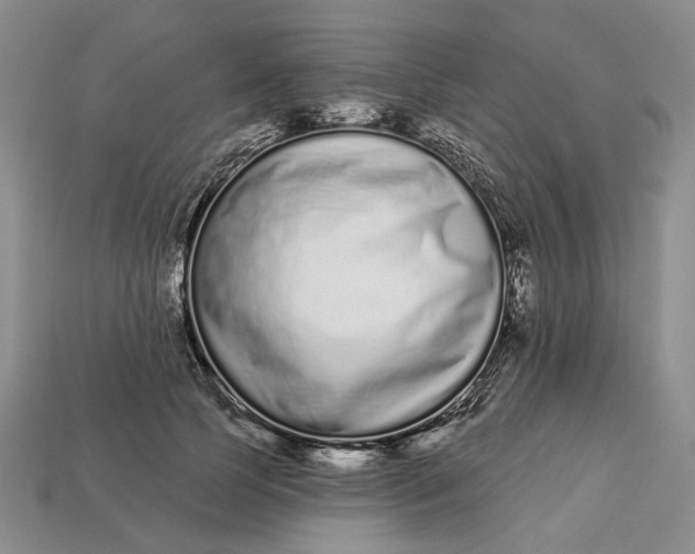 X0000112720745200909101446