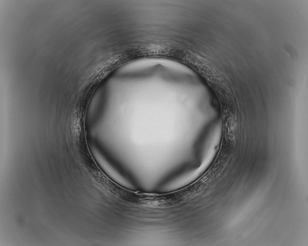 X0000112720746200909101446