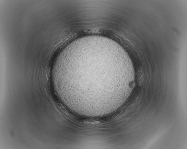 X0000112720747200909101446