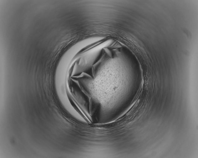 X0000112720748200909101446