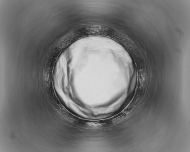 X0000112720749200909101446