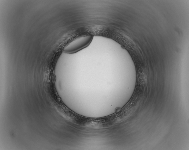 X0000112720750200909101446