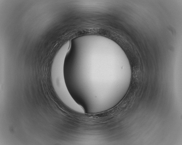 X0000112720752200909101446