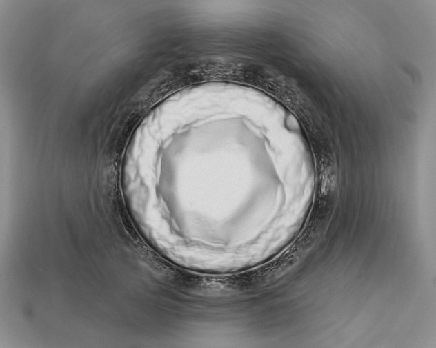 X0000112720753200909101446