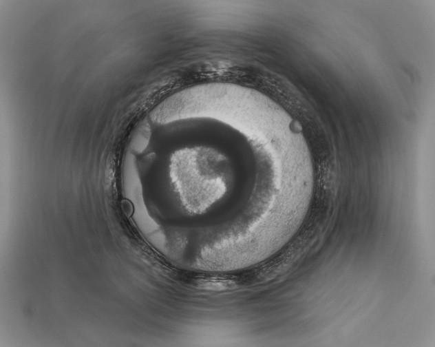 X0000112720754200909101446