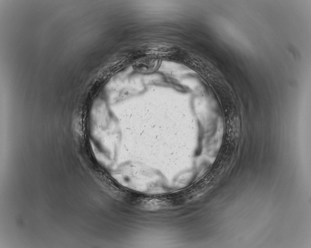 X0000112720755200909101446