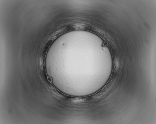 X0000112720759200909101446