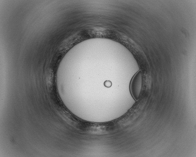 X0000112720760200909101446